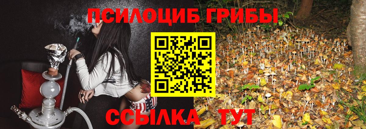 Галлюциногенные грибы MAGIC MUSHROOMS Сергиев Посад