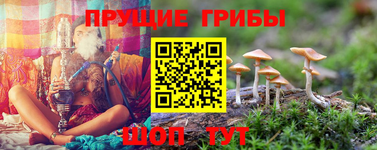 Псилоцибиновые грибы мицелий  Вход с VPN  Сергиев Посад 